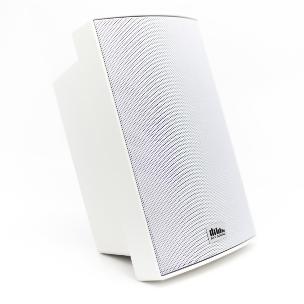 Настенная акустика SKY SOUND PM-3000(W/TW)