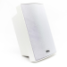 Настенная акустика SKY SOUND PM-3000(W/TW)