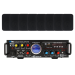 Акустический комплект SKY SOUND WSM-2408 BLACK