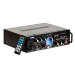 Акустический комплект SKY SOUND WSM-2408 BLACK