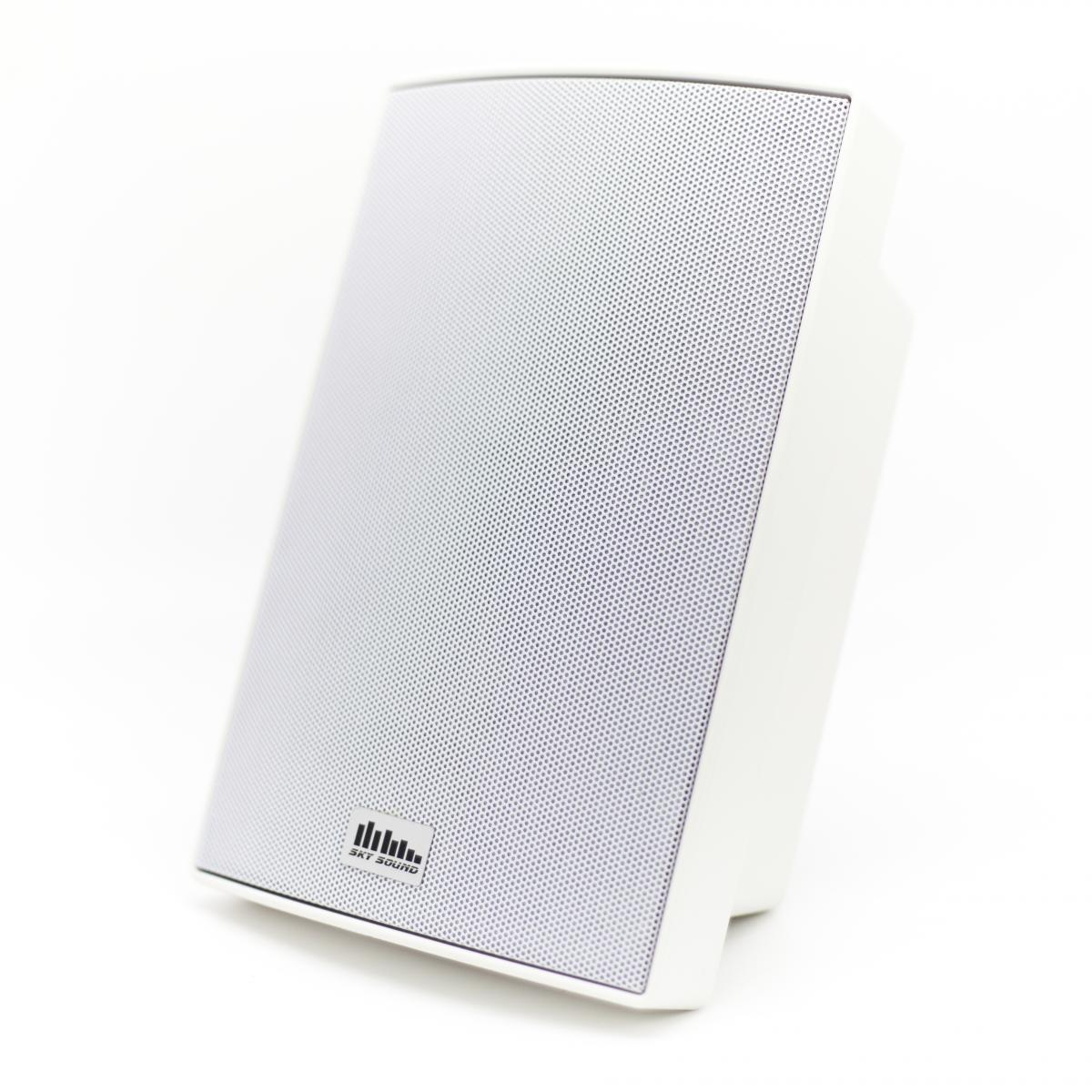 Настенная акустика SKY SOUND PM-3000(W/TW)