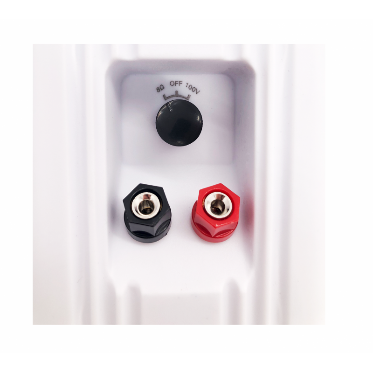 Настінна акустика SKY SOUND NS-40W