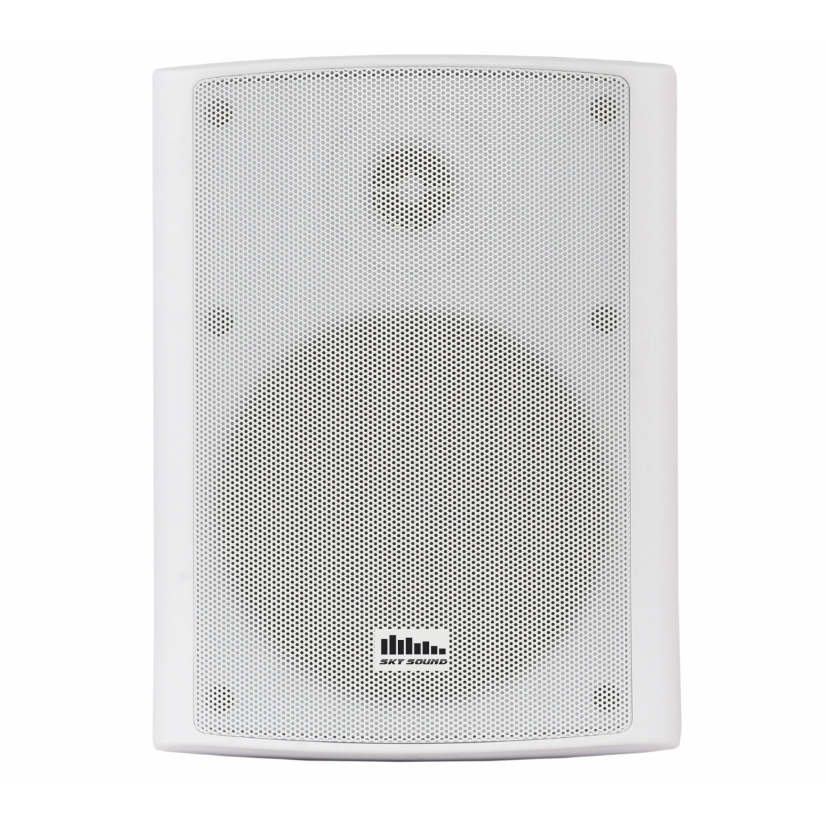 Настенная акустика SKY SOUND NS-50W