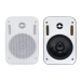 Настінна акустика SKY SOUND PM-2401W