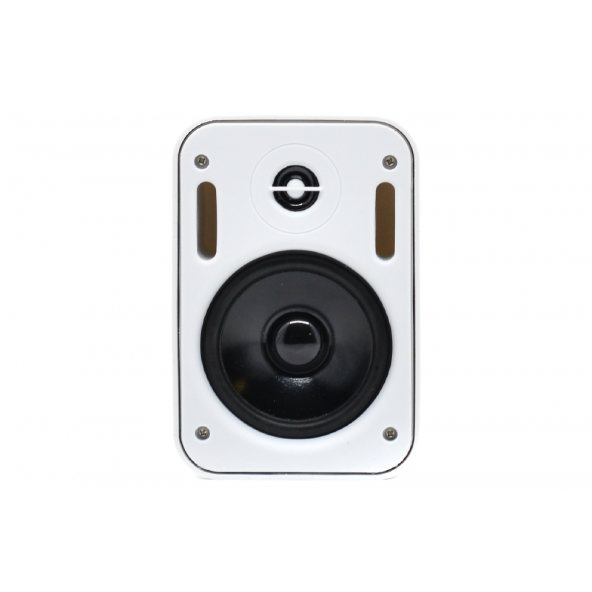 Настінна акустика SKY SOUND PM-2401W