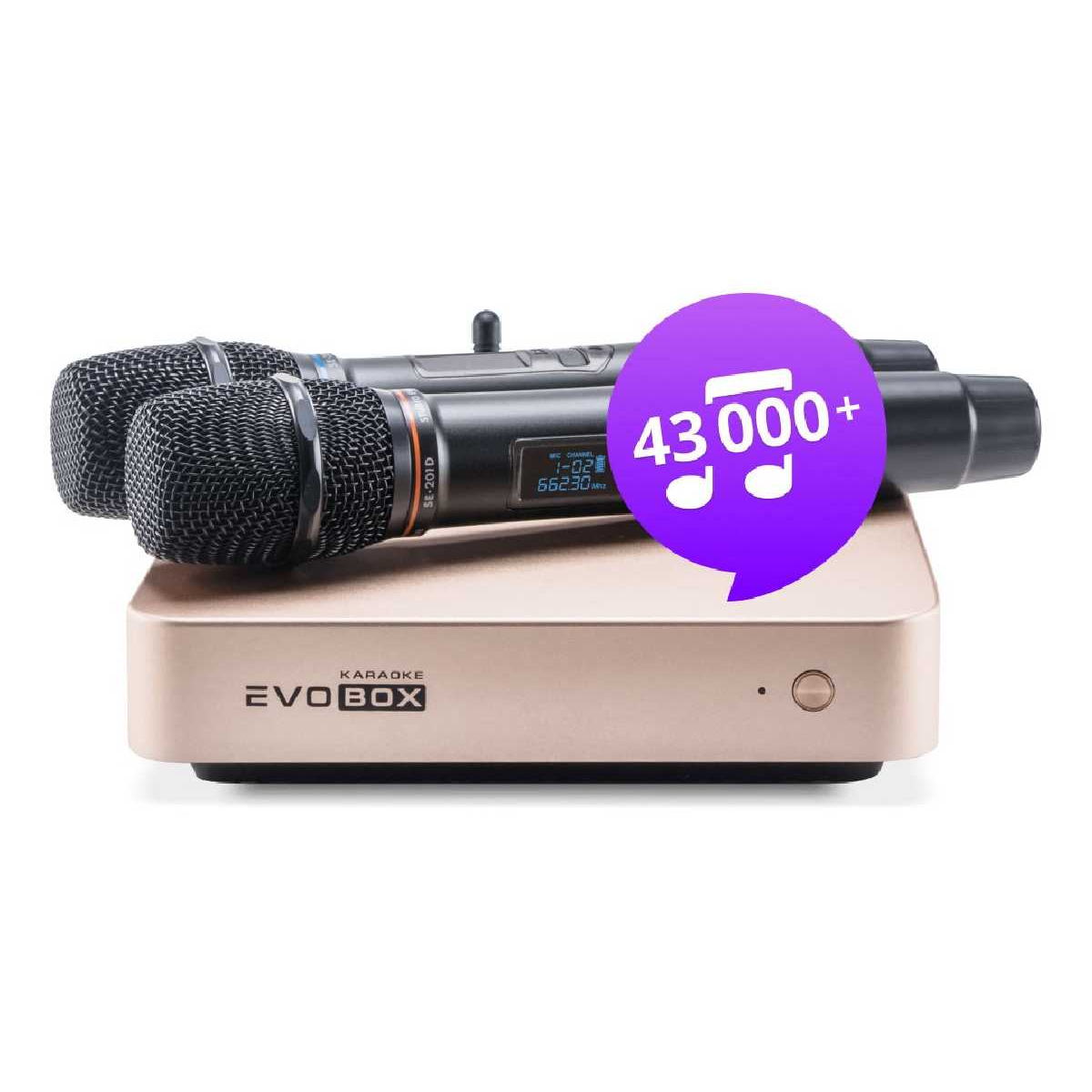 Караоке система для дому Studio Evolution Evobox Plus з 2 мікрофонами Gold