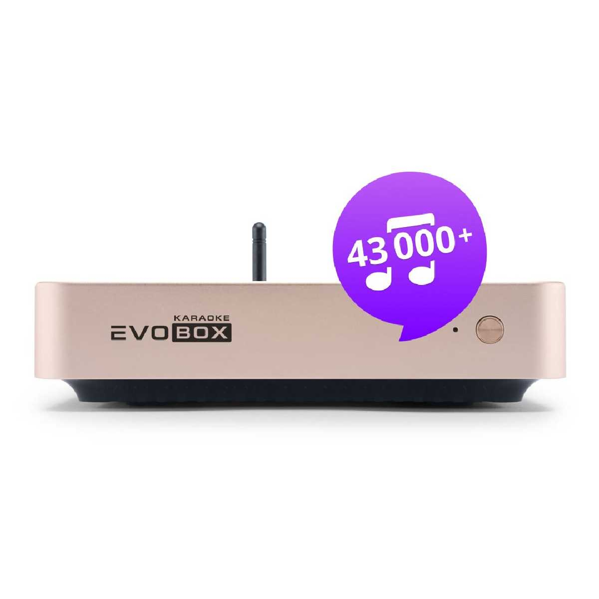 Караоке система для дому Studio Evolution Evobox Plus з 2 мікрофонами Gold
