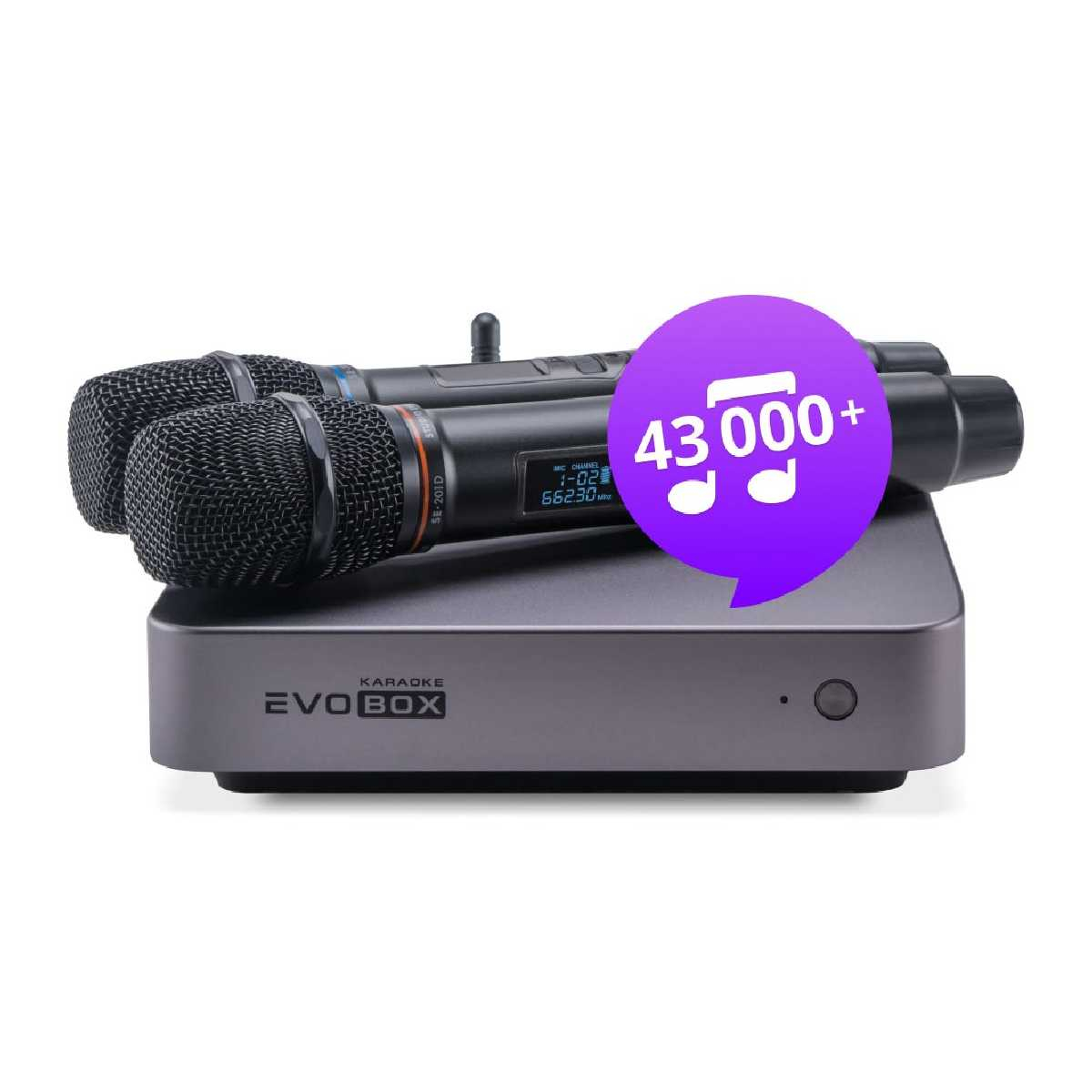 Караоке система для дому Studio Evolution Evobox Plus з 2 мікрофонами Graphite