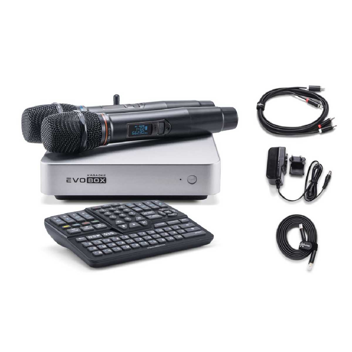 Караоке система для дому Studio Evolution Evobox Plus із 2 мікрофонами Silver