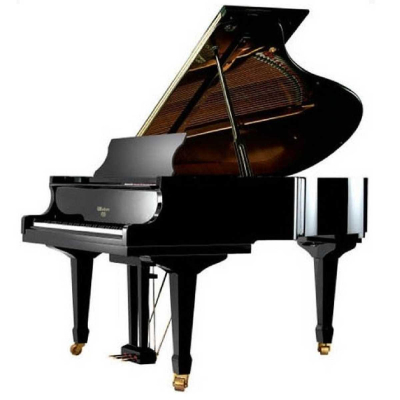 Albert Weber AW 228 BP