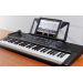 Cинтезатор з мікрофоном ALESIS HARMONY54