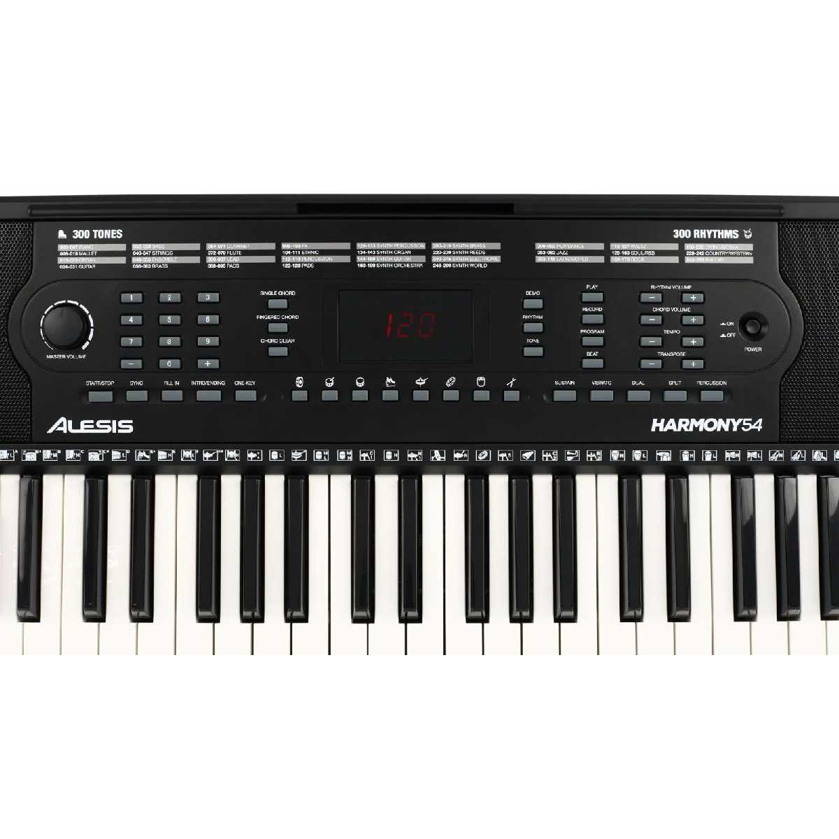 Cинтезатор з мікрофоном ALESIS HARMONY54