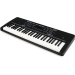 Cинтезатор з мікрофоном ALESIS HARMONY54