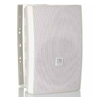 Настінна акустична система AMC VIVA 8 White (RAL9016) 8"+1"