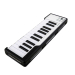 MIDI-клавіатура Arturia MicroLab (Black)