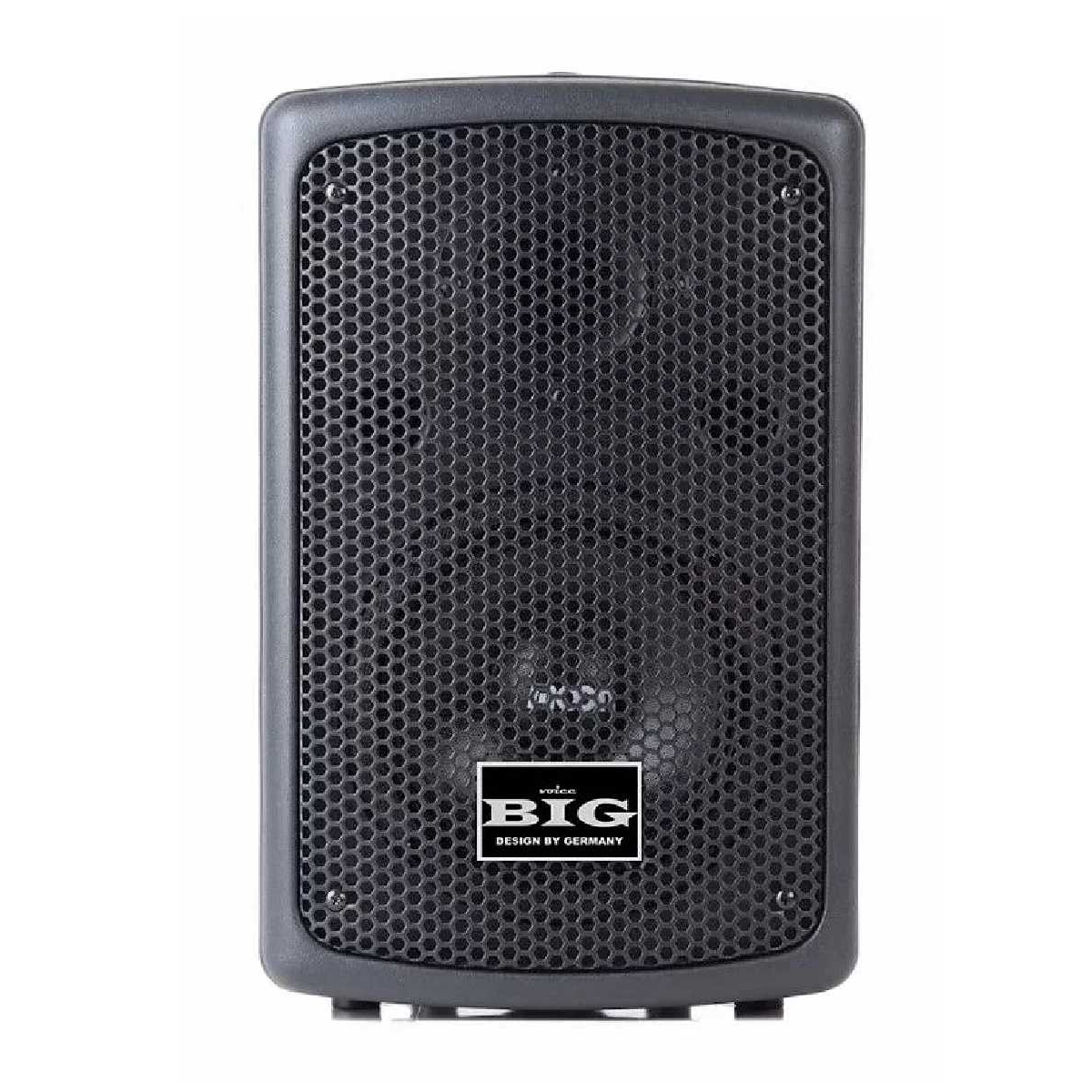 Настенная акустическая система BIG SPK8A