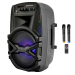 Портативная акустическая система BIG100BAT USB/MP3/FM/BT/TWS + 2pcs VHF mic