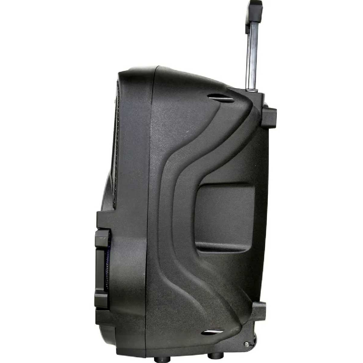 Портативная акустическая система BIG250BAT USB/MP3/BT/TWS + 2pcs VHF mic