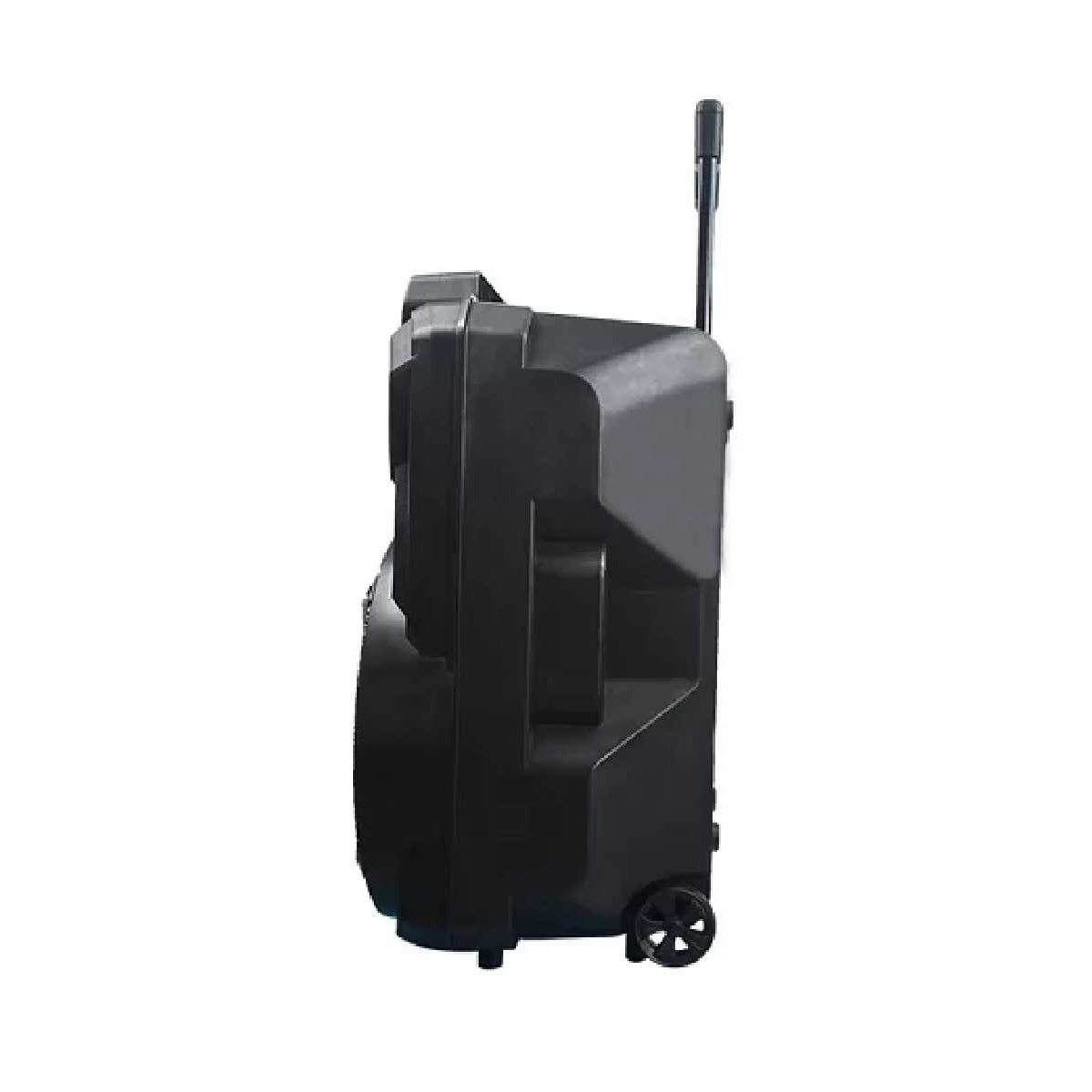 Портативна акустична система BIG230BAT USB/MP3/FM/BT/TWS + 2pcs VHF mic