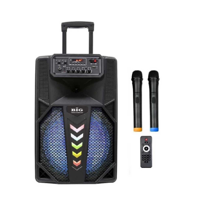 Портативна акустична система BIG240STAR USB/MP3/FM/BT/TWS + 2pcs VHF mic