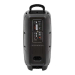 Портативная акустическая система BIG220ENCORE USB/MP3/FM/BT/TWS + 2pcs VHF mic