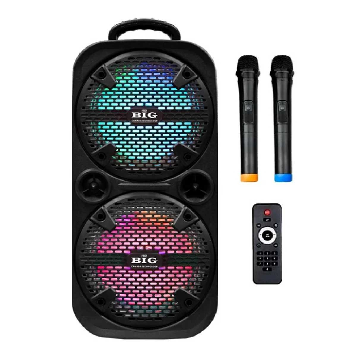 Портативная акустическая система BIG220ENCORE USB/MP3/FM/BT/TWS + 2pcs VHF mic