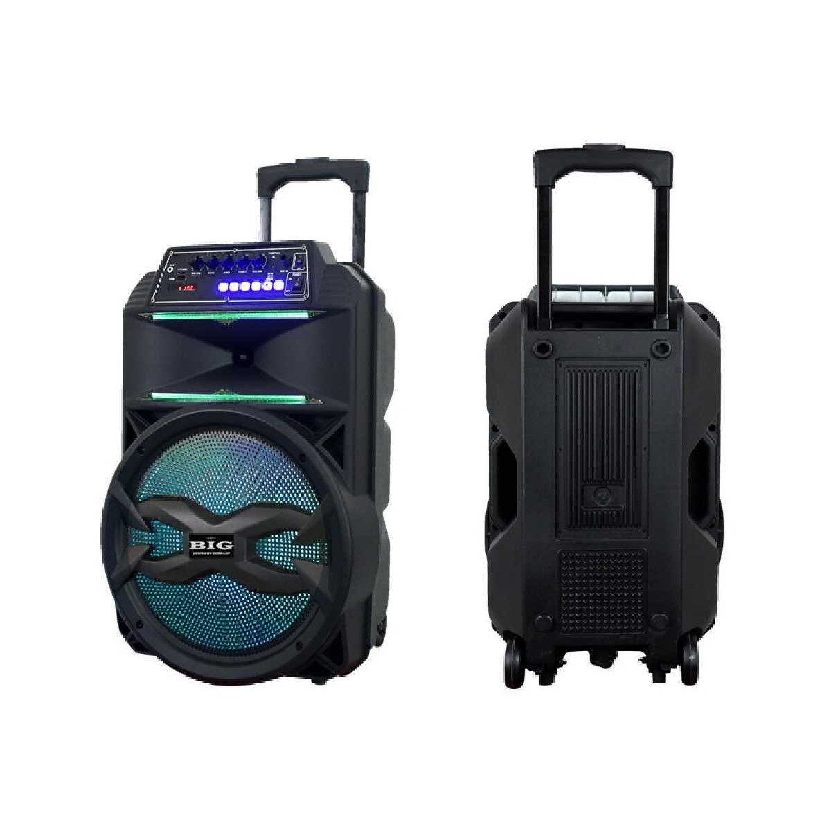 Портативна акустична система BIG310BAT USB/MP3/FM/BT/TWS + 2pcs VHF mic