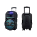 Портативна акустична система BIG310BAT USB/MP3/FM/BT/TWS + 2pcs VHF mic