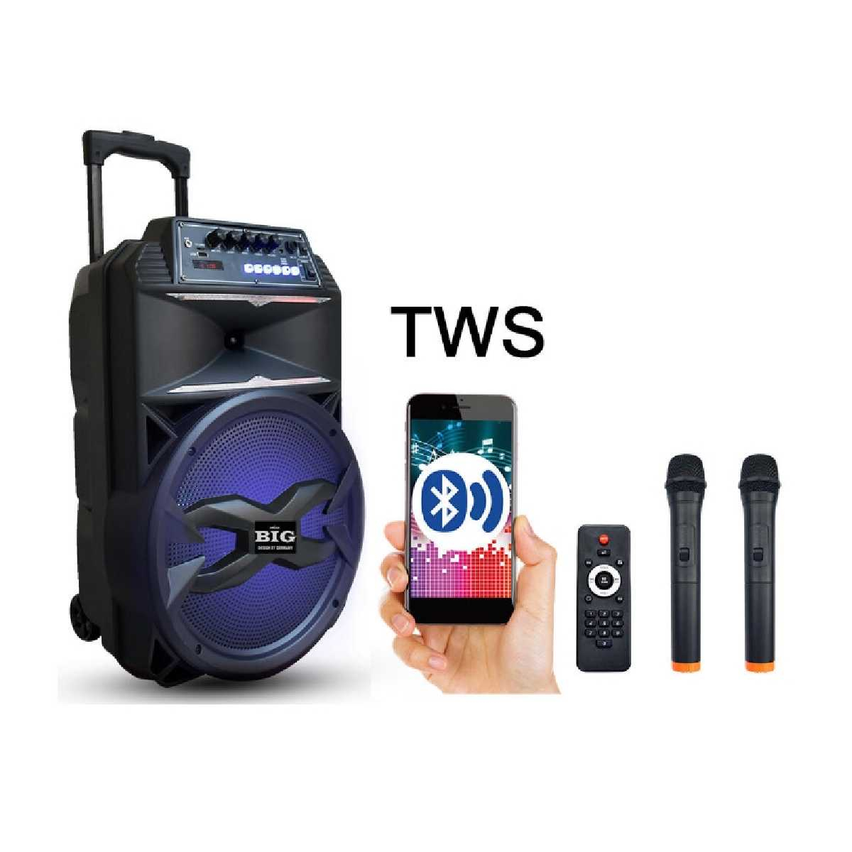 Портативна акустична система BIG310BAT USB/MP3/FM/BT/TWS + 2pcs VHF mic
