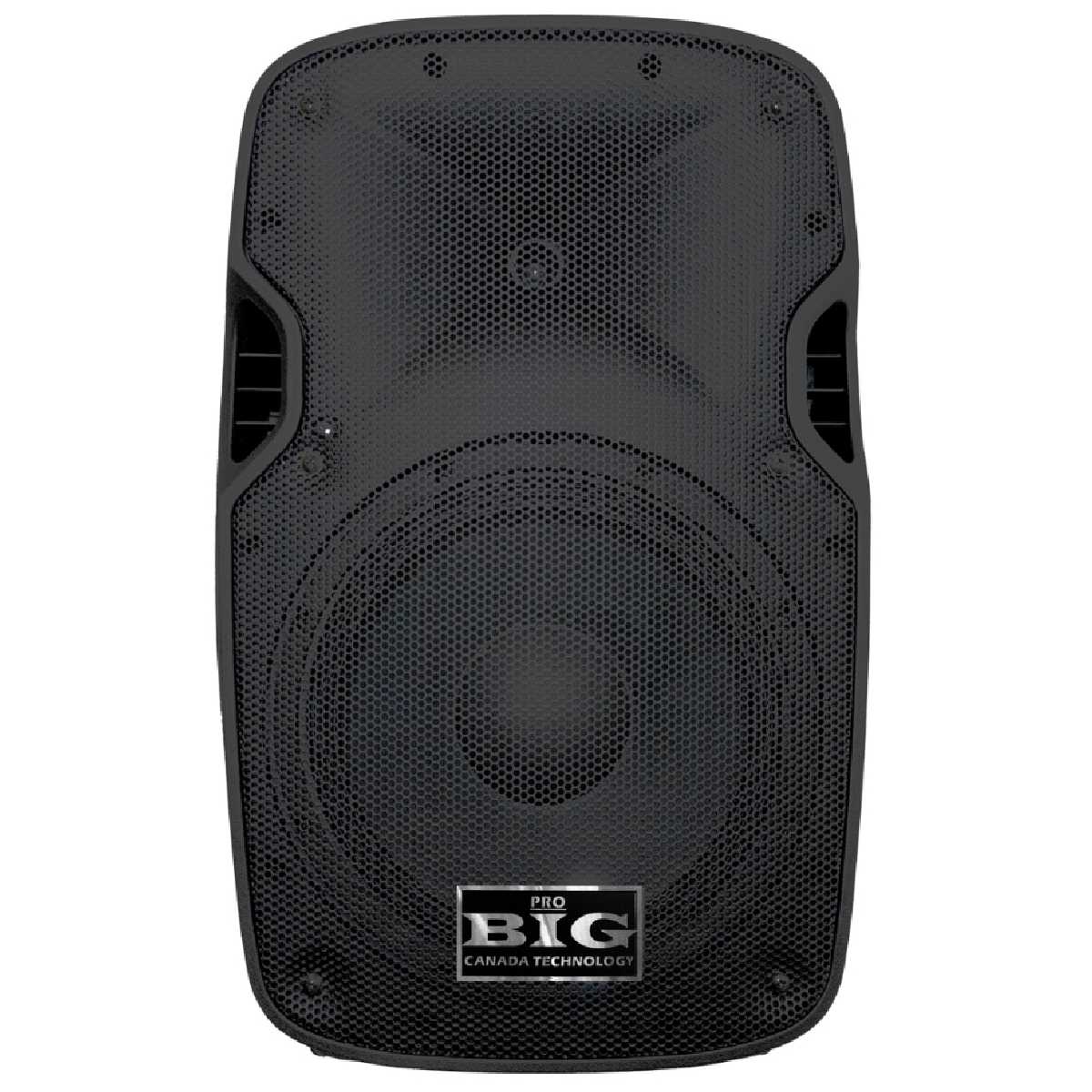 Пассивная акустическая система BIG JB15L300W8Ohm