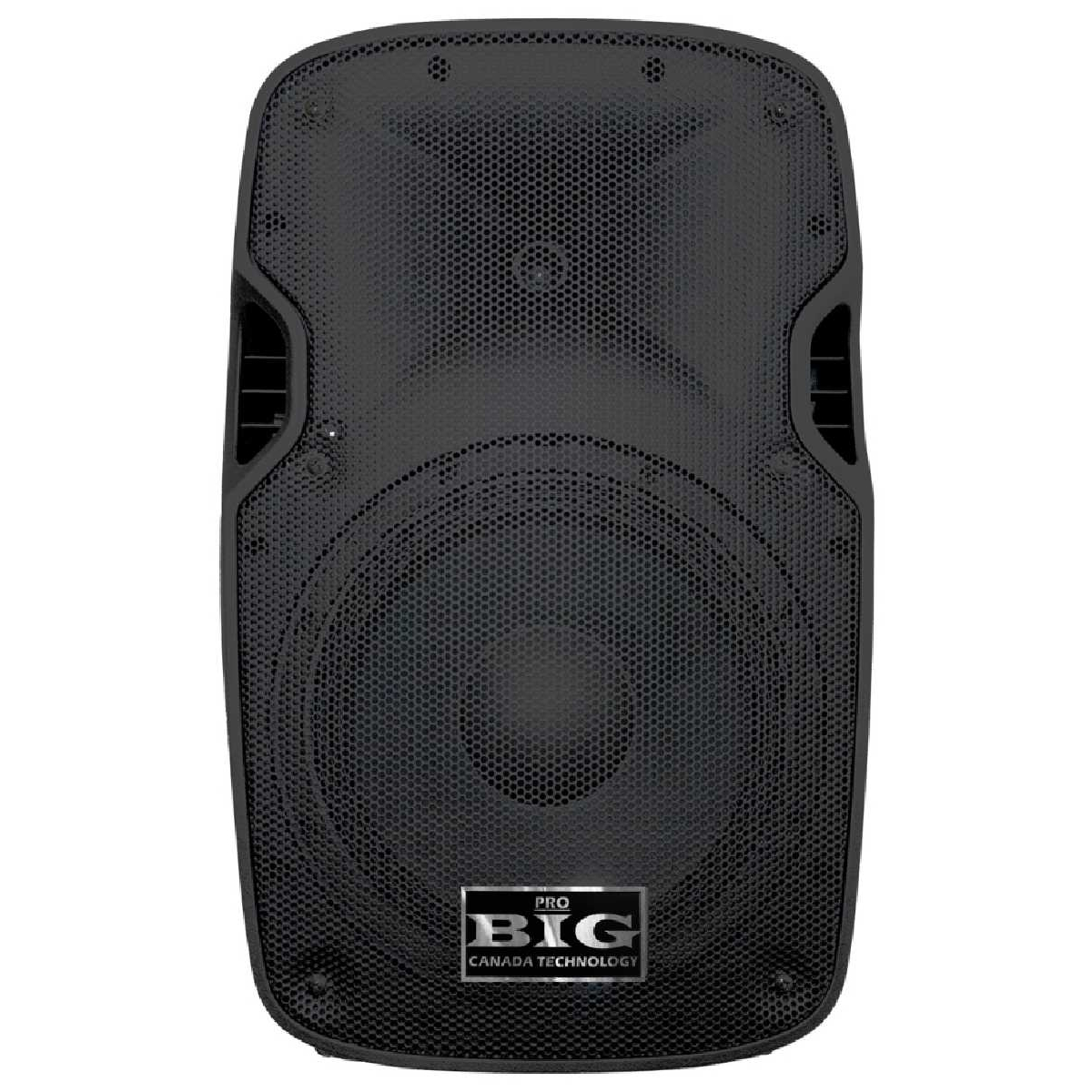 Пасивна акустична система BIG JB10L250
