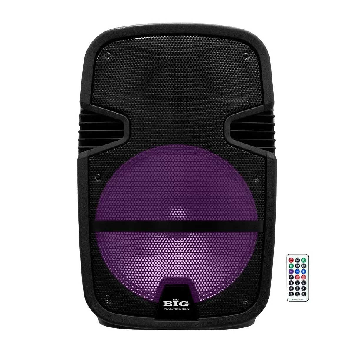 Портативна акустична система BIG300TORNADO USB/MP3/FM/BT/TWS + 2pcs VHF mic