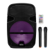 Портативна акустична система BIG300TORNADO USB/MP3/FM/BT/TWS + 2pcs VHF mic