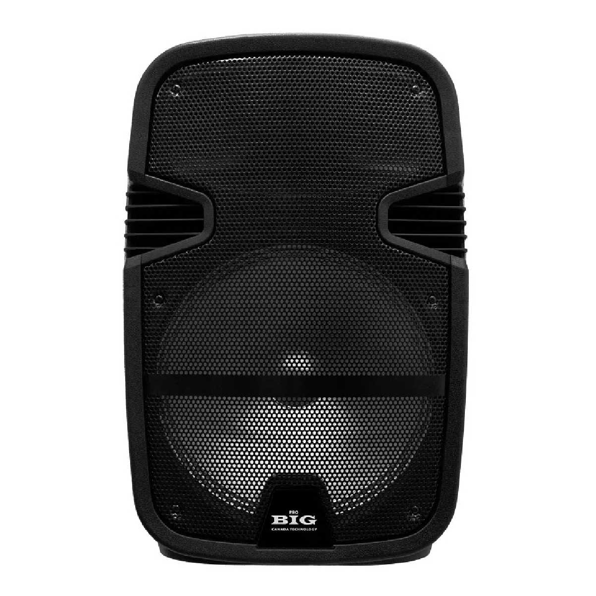 Портативная акустическая система BIG350STORM USB/MP3/FM/BT/TWS + 2pcs VHF mic