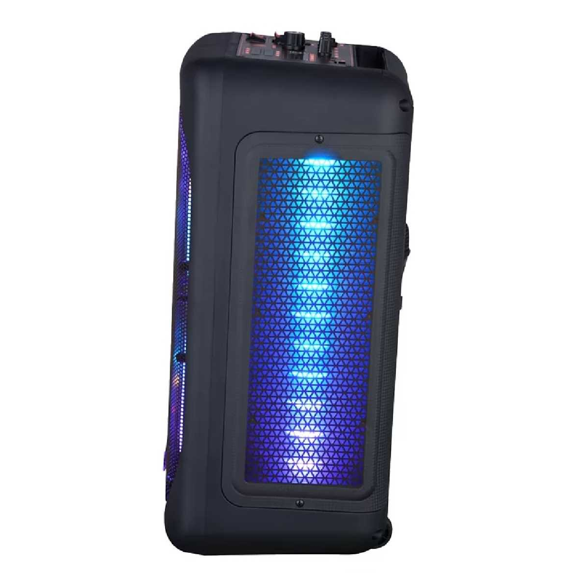 Портативная акустическая система JB X828 USB/MP3/FM/BT/TWS + 2pcs VHF mic