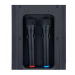 Портативная акустическая система JB X828 USB/MP3/FM/BT/TWS + 2pcs VHF mic