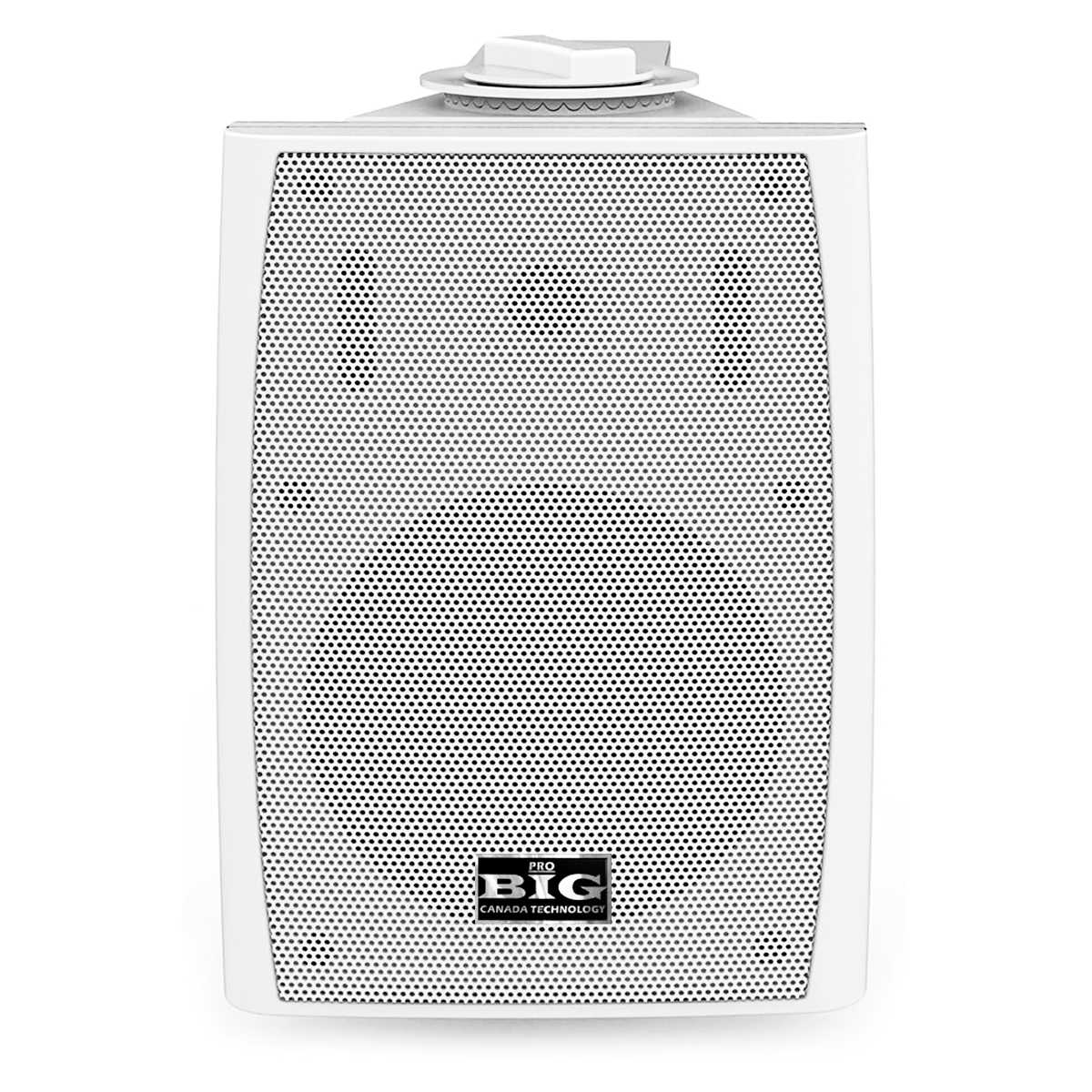 Настенная колонка BIG MSB810-8Ohm/100V WHITE 180W