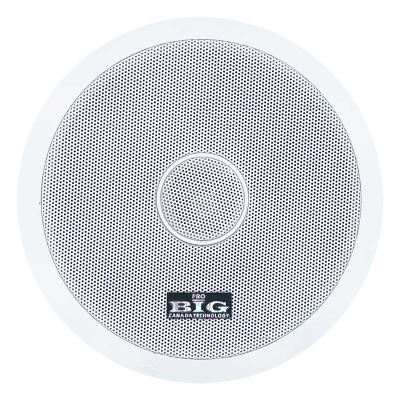 Потолочная акустическая система BIG CST602+ ВЧ твитер (2х полосная)