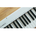 Цифровое пианино CASIO CDP-S110BK