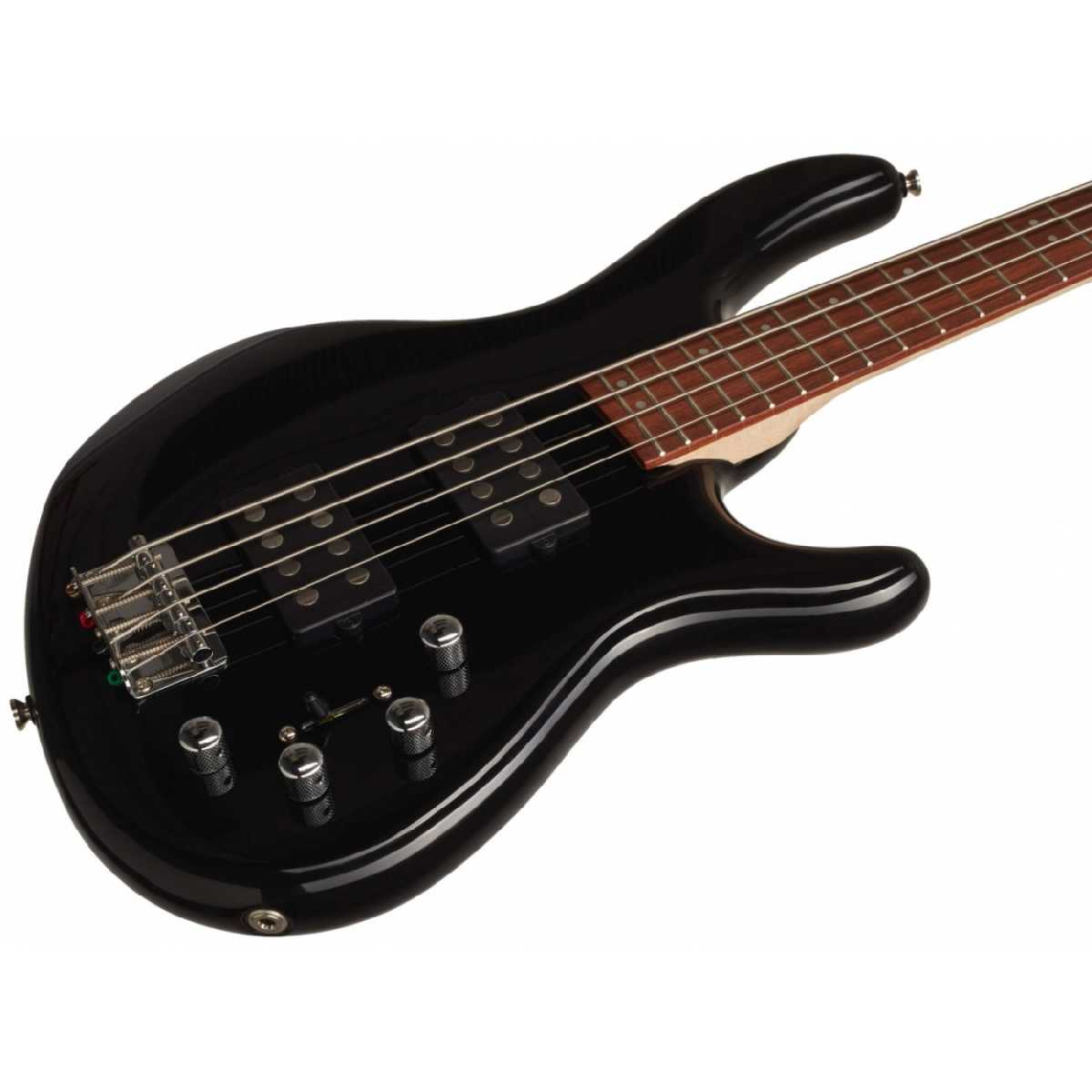 CORT Action HH4 BK
