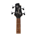 CORT Action HH4 BRM