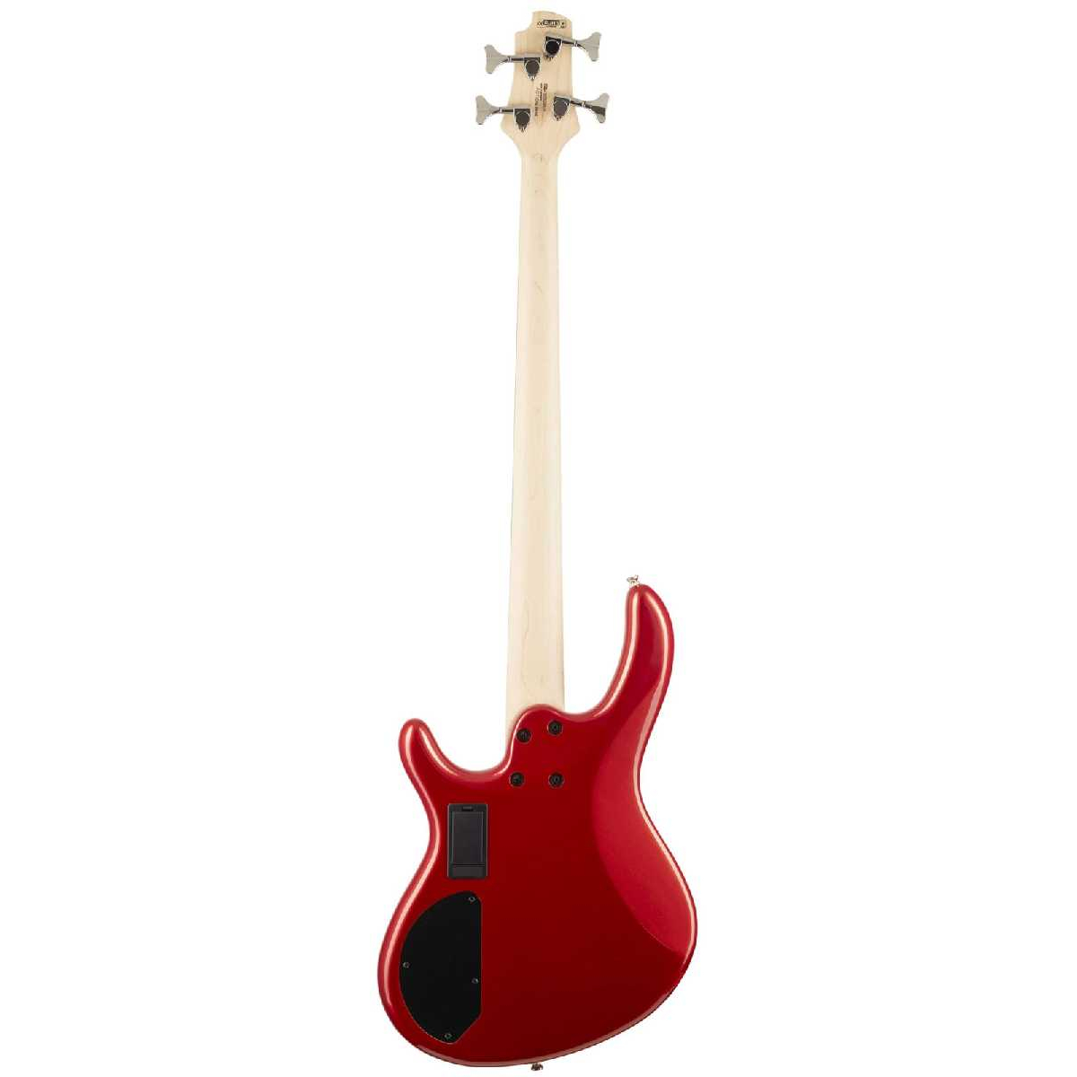 CORT Action HH4 BRM