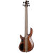 CORT A5 Ultra Ash ENB w/case