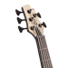 CORT A5 Ultra Ash ENB w/case