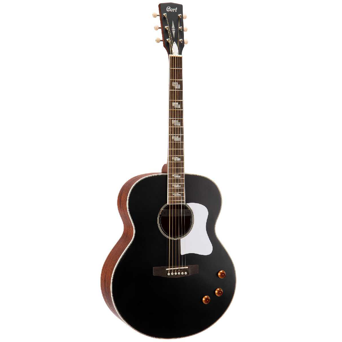 CORT CJ Retro VBM