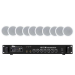 Акустичний комплект SKY SOUND CS-3110