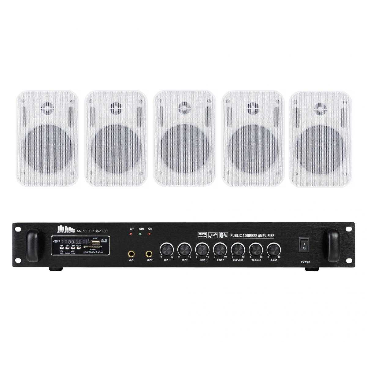 Акустичний комплект SKY SOUND WS-2405