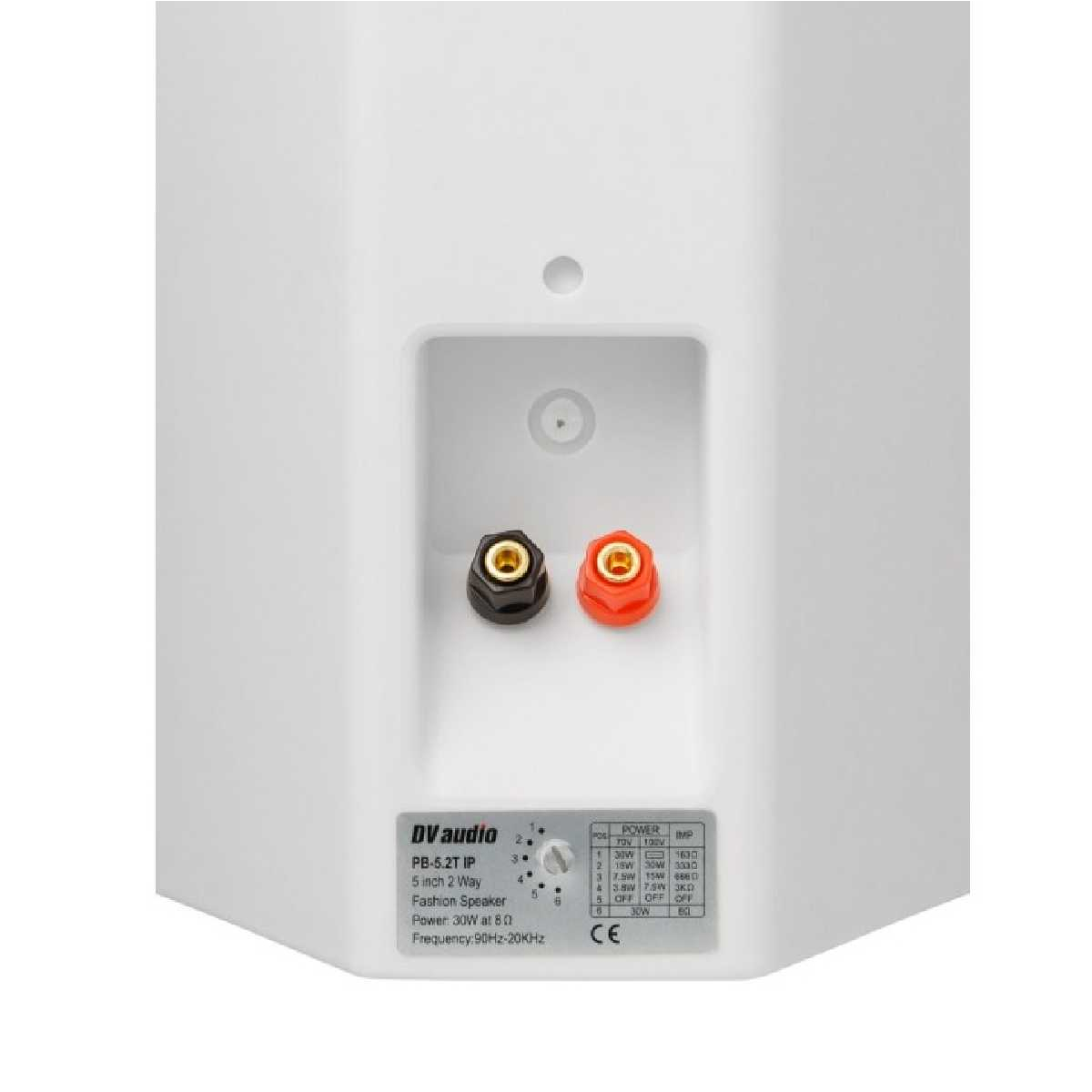 Комплект звуку DV audio LA1006PB5W для приміщення до 160 м.кв