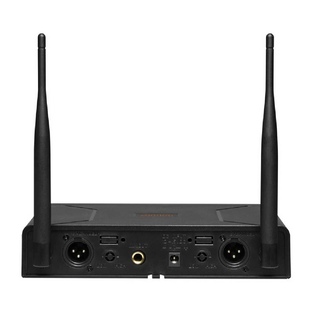 Радіосистема DV audio BGX-224 MKII комбінована (з ручним та поясним передавачами)