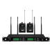 Радіосистема DV audio WMS-24B із петличними мікрофонами